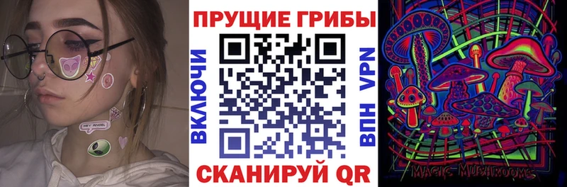 Псилоцибиновые грибы MAGIC MUSHROOMS  Купить где  Карасук 
